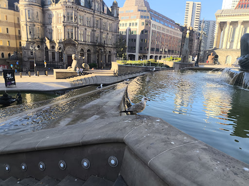 Photo from customer review