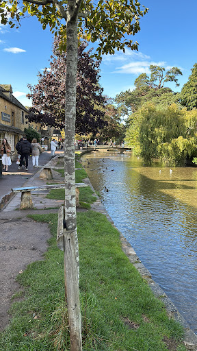 Photo from customer review