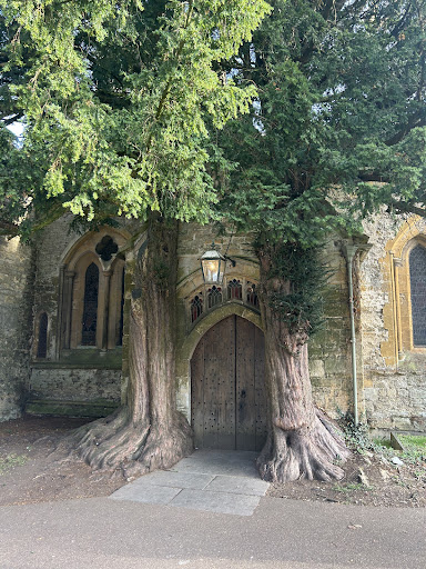 Photo from customer review